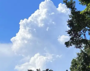 绍兴天气预报,绍兴7天天气预报,绍兴15天天气预报,绍兴天气查询